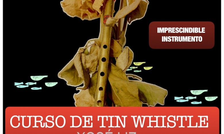 Curso de Tin Whistle. Xosé Liz. 05 e 12 de decembro de 2025. EXTRAESCOLARES ETRADVIGO 2025-26
