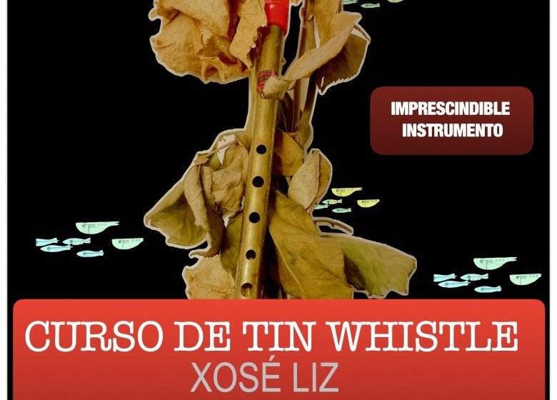 Curso de Tin Whistle. Xosé Liz. 05 e 12 de decembro de 2025. EXTRAESCOLARES ETRADVIGO 2025-26