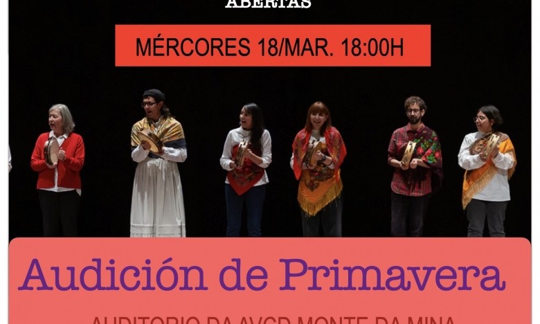 Audición de primavera.  MÉRCORES 18 DE MARZO. 18:00H. AUDITORIO AVCD MONTE DA MINA DE CASTRELOS.  ETRADVIGO 2025-26.